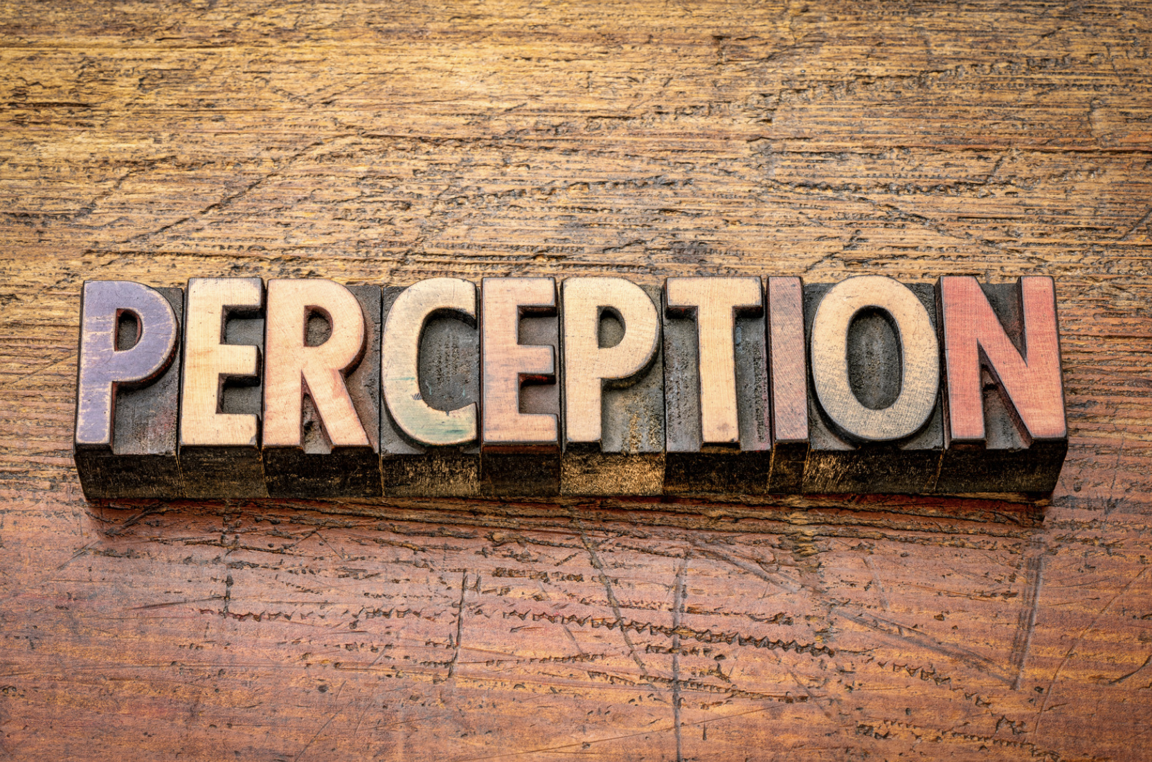 Understanding Perception: How It Shapes Your Worldview